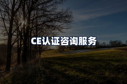 CE认证咨询服务